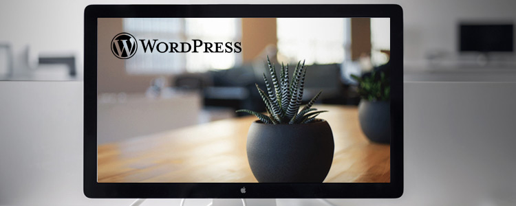 wordpress